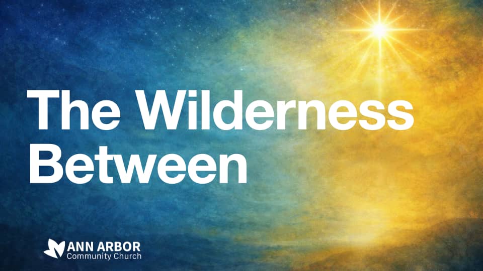 The Wilderness Between